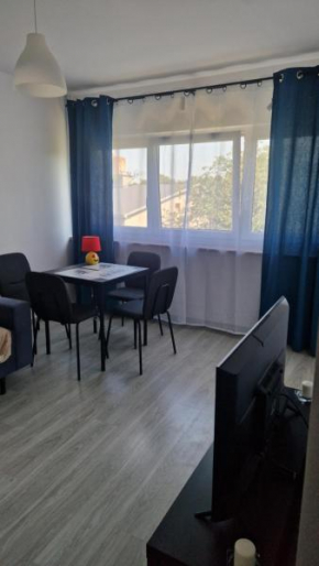Wielkopolska Apartment